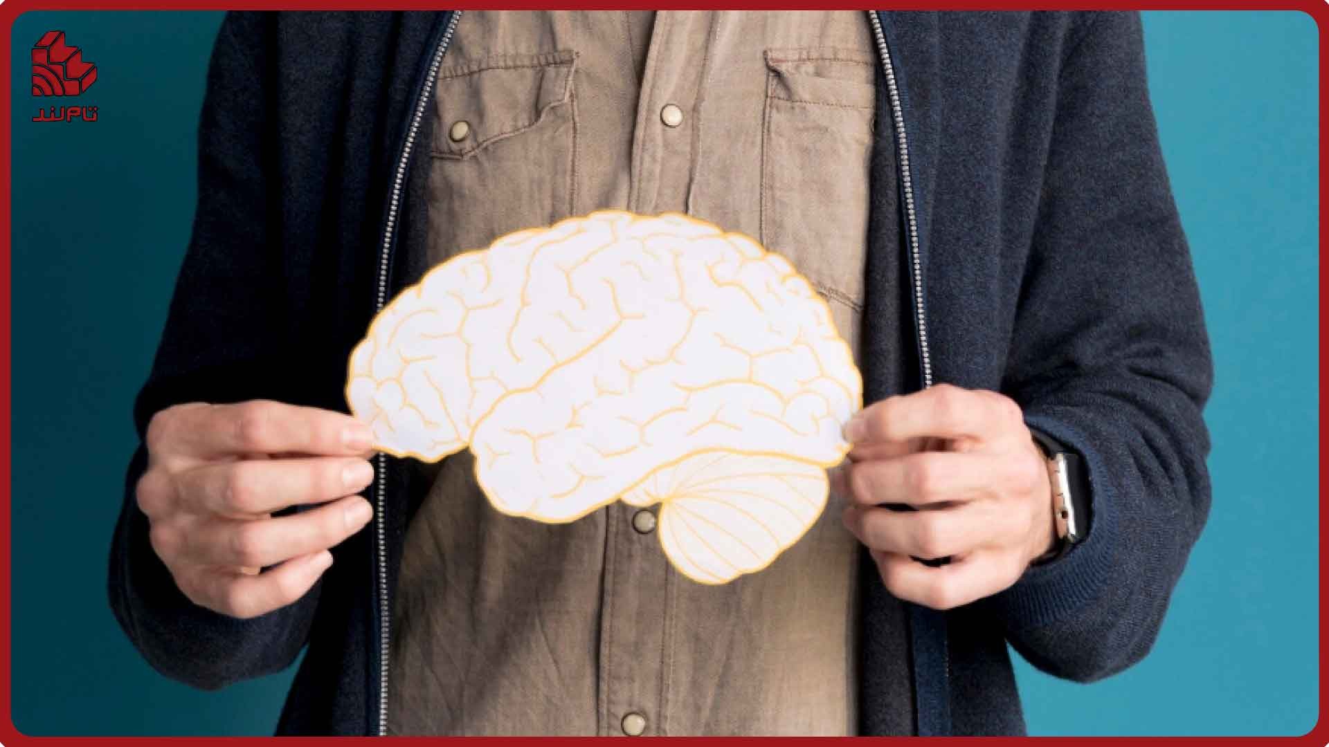 هوش منطقی، دقت و سرعت